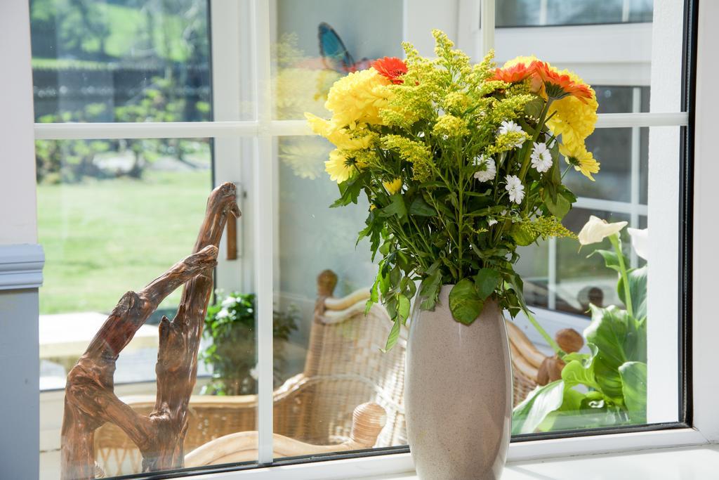 The Rose Garden Bed & Breakfast And Cafe Kenmare Exterior foto